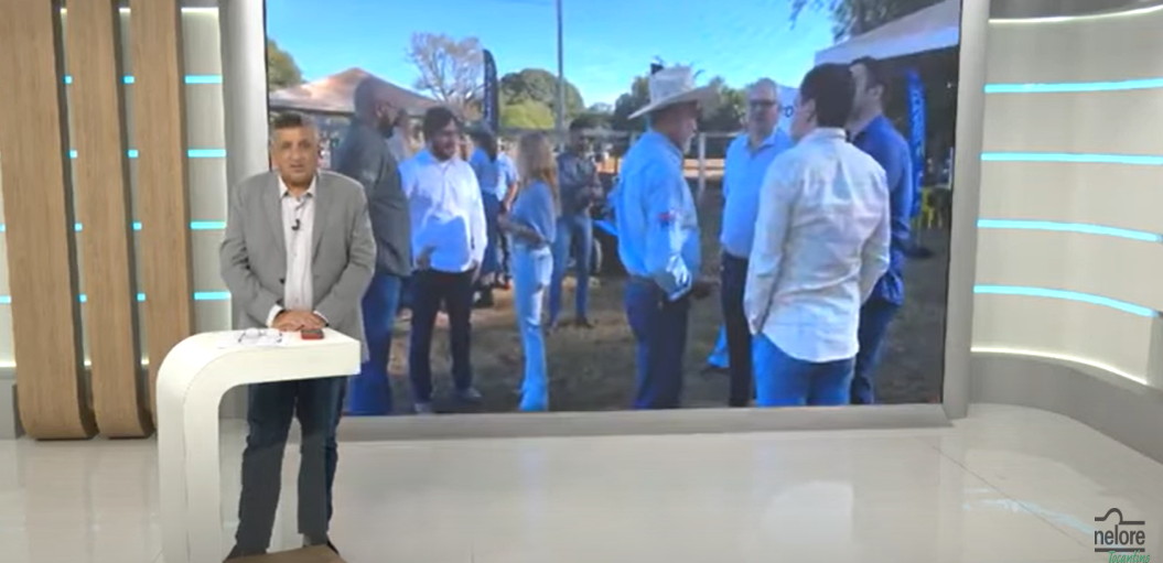 Canal Rural - Conheça a Prova de Ganho de Peso Nelore Tocantins que acontece em Silvanópolis